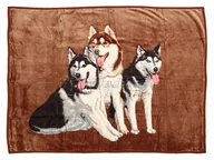 Koce - Koc Elway 160x210 psy Husky'e - miniaturka - grafika 1