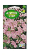 Nasiona i cebule - Gipsówka wytworna różowa 2 g POLAN - miniaturka - grafika 1