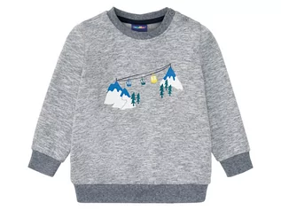 Bluzy dla chłopców - Lupilu Sweter chłopięcy z nadrukiem, 1 sztuka (86/92, Szary) - grafika 1