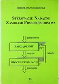 Biznes - Sterowanie nadążne zasobami przedsiębiorstwa - miniaturka - grafika 1