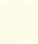 Grzbiety do bindownic - Fellowes Okładki Delta A4 kość słoniowa 100 szt. FSC - miniaturka - grafika 1