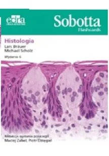 Sobotta Flashcards Histologia L Bräuer M Scholz - Książki medyczne - miniaturka - grafika 2