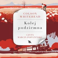 Audiobooki - literatura piękna - Kolej podziemna - miniaturka - grafika 1