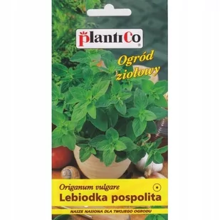 Plantico Oregano/Lebiodka - Nasiona i cebule - miniaturka - grafika 1