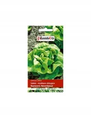 Nasiona i cebule - Plantico Sałata zimująca - miniaturka - grafika 1