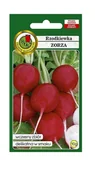 Nasiona i cebule - Rzodkiewka Zorza 10 g PNOS Ożarów - miniaturka - grafika 1