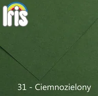 Szkolne artykuły papiernicze - Canson Karton rys. (I) A3 op.50 - c.zielony 31 - miniaturka - grafika 1