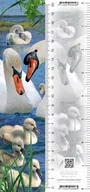Kartki okolicznościowe i zaproszenia - Pocztówka 3D Bernardyn WORTH-KEEPING - miniaturka - grafika 1