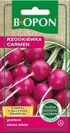 Nasiona i cebule - BIOPON Rzodkiewka gruntowa Carmen - nasiona 402290 - miniaturka - grafika 1