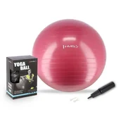 Piłki do ćwiczeń - HMS Piłka gimnastyczna YB01 65 cm śliwkowa - 1008674 - miniaturka - grafika 1
