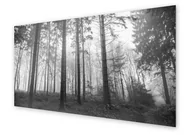 Dekoracje domu - Panel kuchenny HOMEPRINT Widok na sosnowy las 125x50 cm - miniaturka - grafika 1