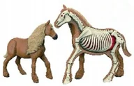 Figurki dla dzieci - Figurka Zwierzęcia Koń Brunatny Model Anatomiczny Model Do Złożenia - miniaturka - grafika 1