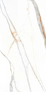Gres Exclusive Marble white pol rectified 60x120 - Płytki ceramiczne - miniaturka - grafika 1
