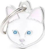 Odblaski i adresówki - Zawieszka Adresówka Identyfikator z grawerem dla kota Europejski - miniaturka - grafika 1