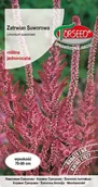 Nasiona i cebule - Nasiona Zatrwian Suworowa karminoworóżowy - Torseed - miniaturka - grafika 1