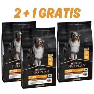Purina Pro Plan Duo Delice Adult Chicken 10Kg - Sucha karma dla psów - miniaturka - grafika 1