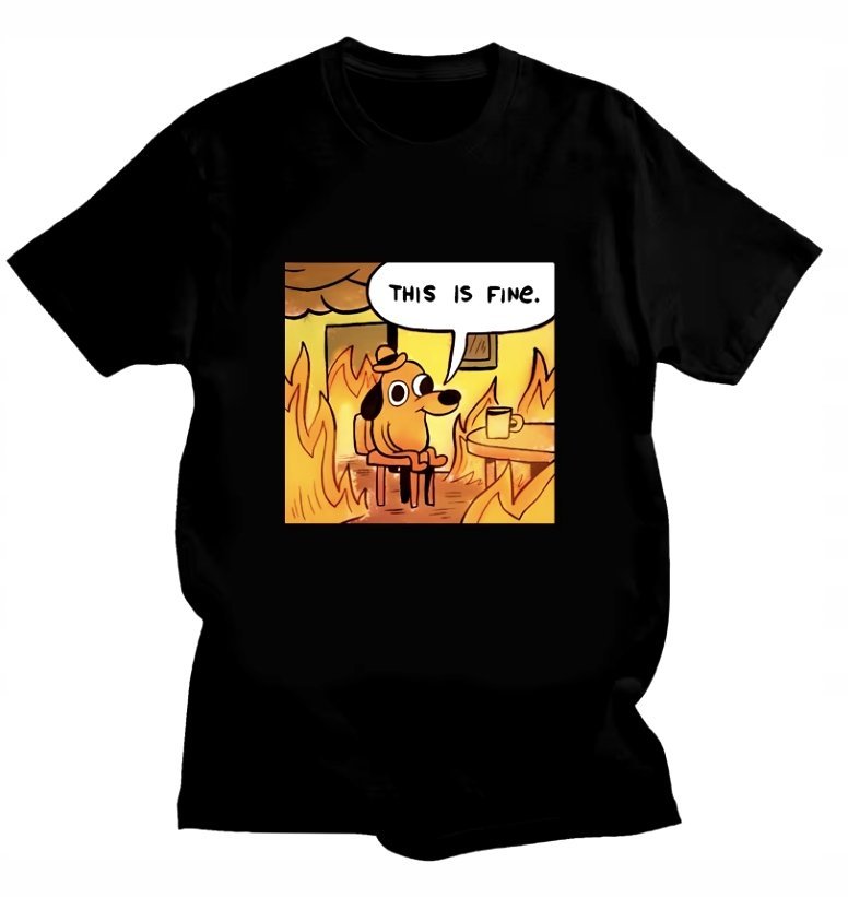 KOSZULKA Z NADRUKIEM MĘSKA ŚMIESZNA T-SHIRT THIS IS FINE MEM PIESEŁ r. L 4