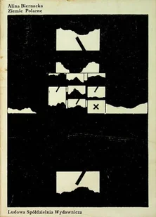 Ziemie polarne - Poezja - miniaturka - grafika 1