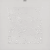 Muzyka alternatywna - Bon Iver (10th Anniversary Edition) - miniaturka - grafika 1