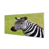 Tablice i flipcharty - Panel dekoracyjny szkło hartowane Zebra 120x60 cm - miniaturka - grafika 1