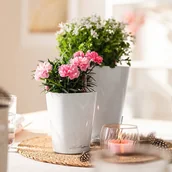 Pozostałe narzędzia ogrodowe - LECHUZA Donica MINI DELTINI ALL-IN-ONE, biała - miniaturka - grafika 1