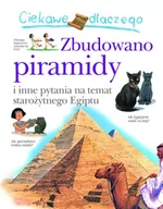 Baśnie, bajki, legendy - Olesiejuk Sp. z o.o. Philip Steele Ciekawe dlaczego zbudowano piramidy - miniaturka - grafika 1