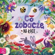 Baśnie, bajki, legendy - Co zobaczę na łące Oglądaj wskaż zapamiętaj Nowa - miniaturka - grafika 1