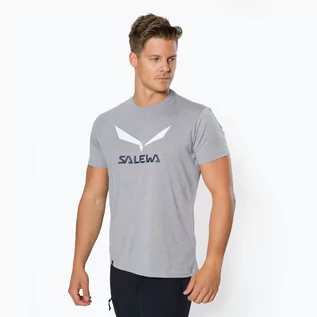 Koszulki sportowe męskie - Salewa Koszulka trekkingowa męska Solidlogo Dry 624 szara 27018 - grafika 1