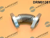 Układ zasilania - akcesoria - Przewód, zawór AGR Dr.motor Automotive DRM01381 - miniaturka - grafika 1