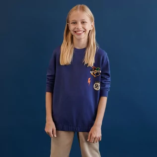 Swetry dla dziewczynek - Sinsay - Bluza Harry Potter - Niebieski - grafika 1