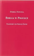 Religia i religioznawstwo - Marek Derewiecki Biblia w pigułce Rabiega Ryszard - miniaturka - grafika 1