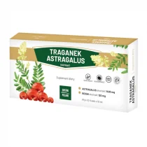 GINSENG POLAND Traganek Astragalus ekstrakt 10x10ml (fiolki) GINSENG POLAND - Zdrowa żywność - miniaturka - grafika 2
