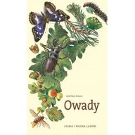 Nauki przyrodnicze - Owady flora i fauna lasów - miniaturka - grafika 1