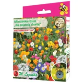 Nasiona i cebule - Legutko Nasiona roślin 'Na ostatnia chwilę' 125 g / 25 m2 - miniaturka - grafika 1