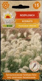 Rozplenica kosmata 12 szt. nasion na bukiety - Nasiona i cebule - miniaturka - grafika 1