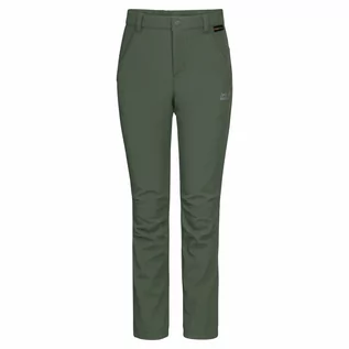 Spodnie i spodenki dla dziewczynek - Spodnie softshell dziecięce FOURWINDS PANTS K thyme green - grafika 1