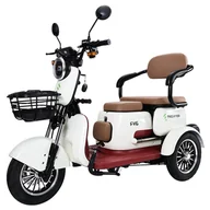 Rowery elektryczne - Freejoyer FV6 Electric Tricycle 1000W Motor 60V 20Ah Battery 10*3 inch Tire 25km/h Max Speed 55km Range Front Disc Brake - miniaturka - grafika 1