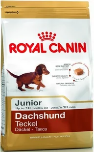 Royal Canin Dachshund Junior 1,5 kg - Sucha karma dla psów - miniaturka - grafika 2
