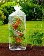 Szklarnie ogrodowe - Folia ochronna na pomidory 2 sztuki WENKO 58572500 - miniaturka - grafika 1