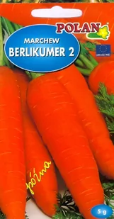 Marchew Jadalna Berlikumer 2 - Perfekcja POL Nasiona 5g Polan - Nasiona i cebule Marchew Jadalna Berlikumer 2 - Perfekcja POL Nasiona 5g Polan - Nasiona i cebule - miniaturka - grafika 1