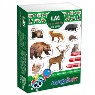 Mieszkańcy lasu - zestaw magnesów - Aston Active - Magnesy - miniaturka - grafika 1