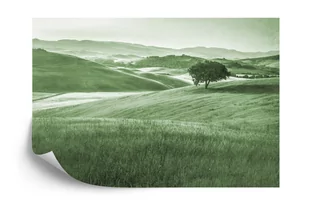 SK Fototapeta Rolling Hills Faded Vintage W Kolorze Zielonym emix - Fototapety - miniaturka - grafika 1