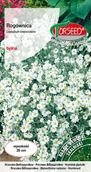 Nasiona i cebule - Nasiona Rogownica biała - Torseed - miniaturka - grafika 1