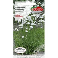 Nasiona i cebule - TORSEED nasiona SZCZYPIOREK WIELOLETNI CZOSNKOWY 1 G - miniaturka - grafika 1