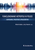 Ekonomia - CeDeWu Funkcjonowanie metropolii w Polsce - Kudłacz Michał, Jerzy Hausner - miniaturka - grafika 1