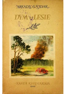 Dym w lesie - Literatura obyczajowa - miniaturka - grafika 1
