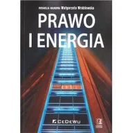 Powieści i opowiadania - Małgorzata Wróblewska Prawo i energia - miniaturka - grafika 1