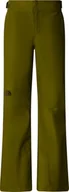 Spodnie damskie - THE NORTH FACE Damskie spodnie Descendit, Forest Olive, M - miniaturka - grafika 1