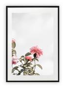 Plakaty - Plakat A4 21x30 cm  Roślina Kwiat Zieleń WZORY - miniaturka - grafika 1