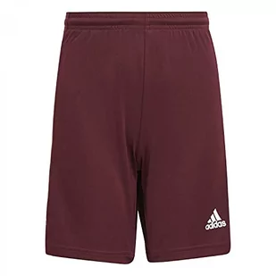 adidas adidas Chłopięce Squad 21 Sho Y krótkie spodnie Tmmaro/Biały 12 Years GN8081 - Spodnie i spodenki dla chłopców - miniaturka - grafika 1